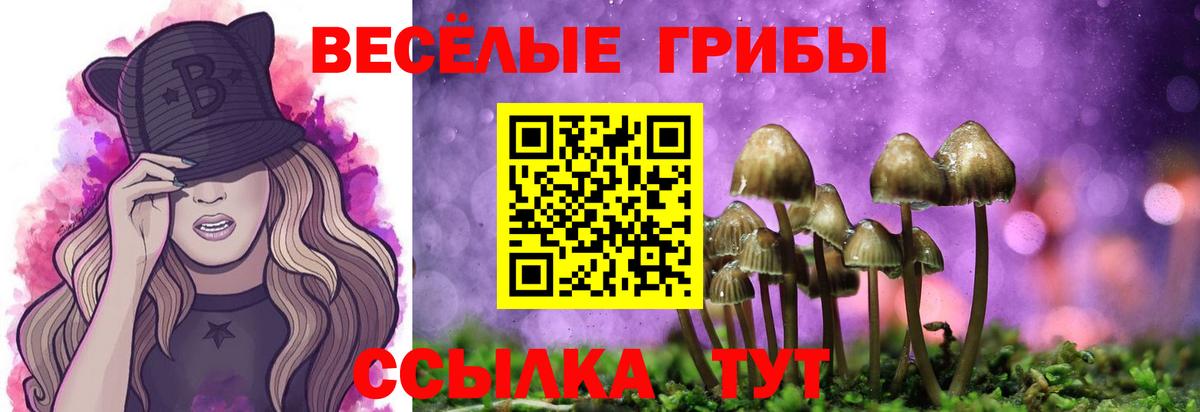 Галлюциногенные грибы мицелий  Вход с VPN  Ейск 